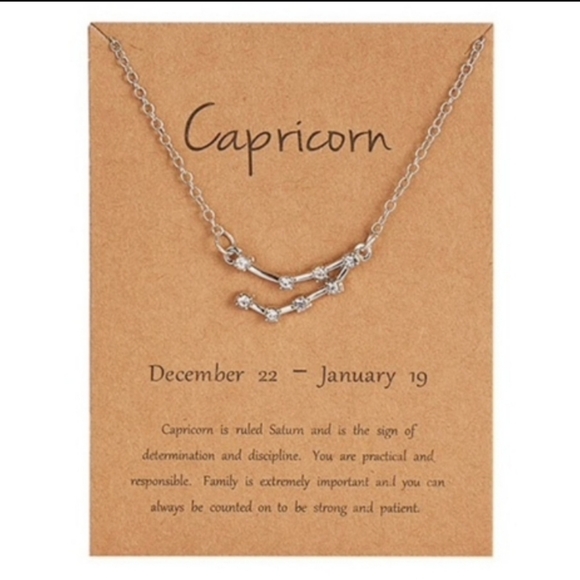 Zodiac Constellation (CAPRICORN) Necklace - Picture 2 of 6